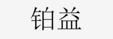系统成功案例-----北京铂益商务信息咨询有限公司