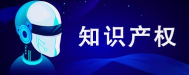 系统成功案例-----贵州不倒翁知识产权代理有限公司