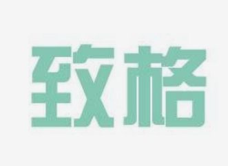 系统成功案例-----深圳市致格数智科技有限公司
