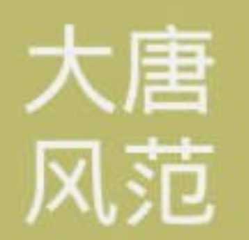 系统成功案例-----陕西大唐风范教育科技集团有限公司
