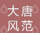 系统成功案例-----陕西大唐风范教育科技集团有限公司