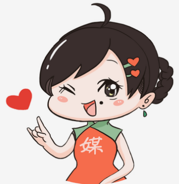 系统成功案例-----天津爱河咨询服务有限公司