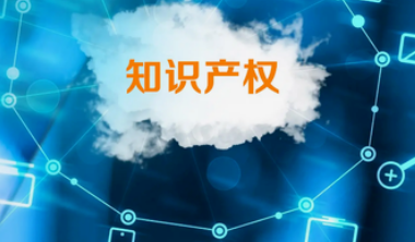 系统成功案例-----西安北龙知识产权服务有限公司