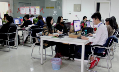 系统成功案例-----陕西百嘉天成财务管理咨询有限公司