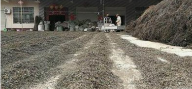 系统成功案例-----吉林省欧姆隆药业有限公司